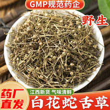 Ұ���׻�����ݲ���Ş���� �°ٻ��߲ݲ�