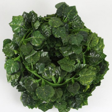 72 hojas de uva 1 paquete (12 piezas)