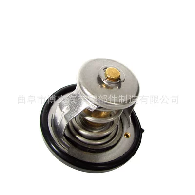 255002GGA0 is suitable Thermostat