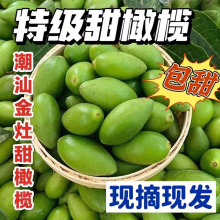 ���r��N�ϙ����ϙ������ЋD�Ҝ������خa�Fժ���Իظ�ˮ��