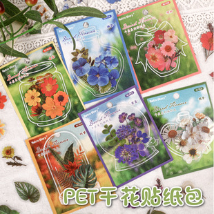 �ɻ������ֹ�diy�ز�͸���˱�ƿ�ӄ���PET���~�N������ֲ�ﻨ���N