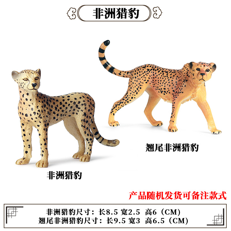 Leopardo africano (2 pelo al azar 1) sobre 0.032KG]