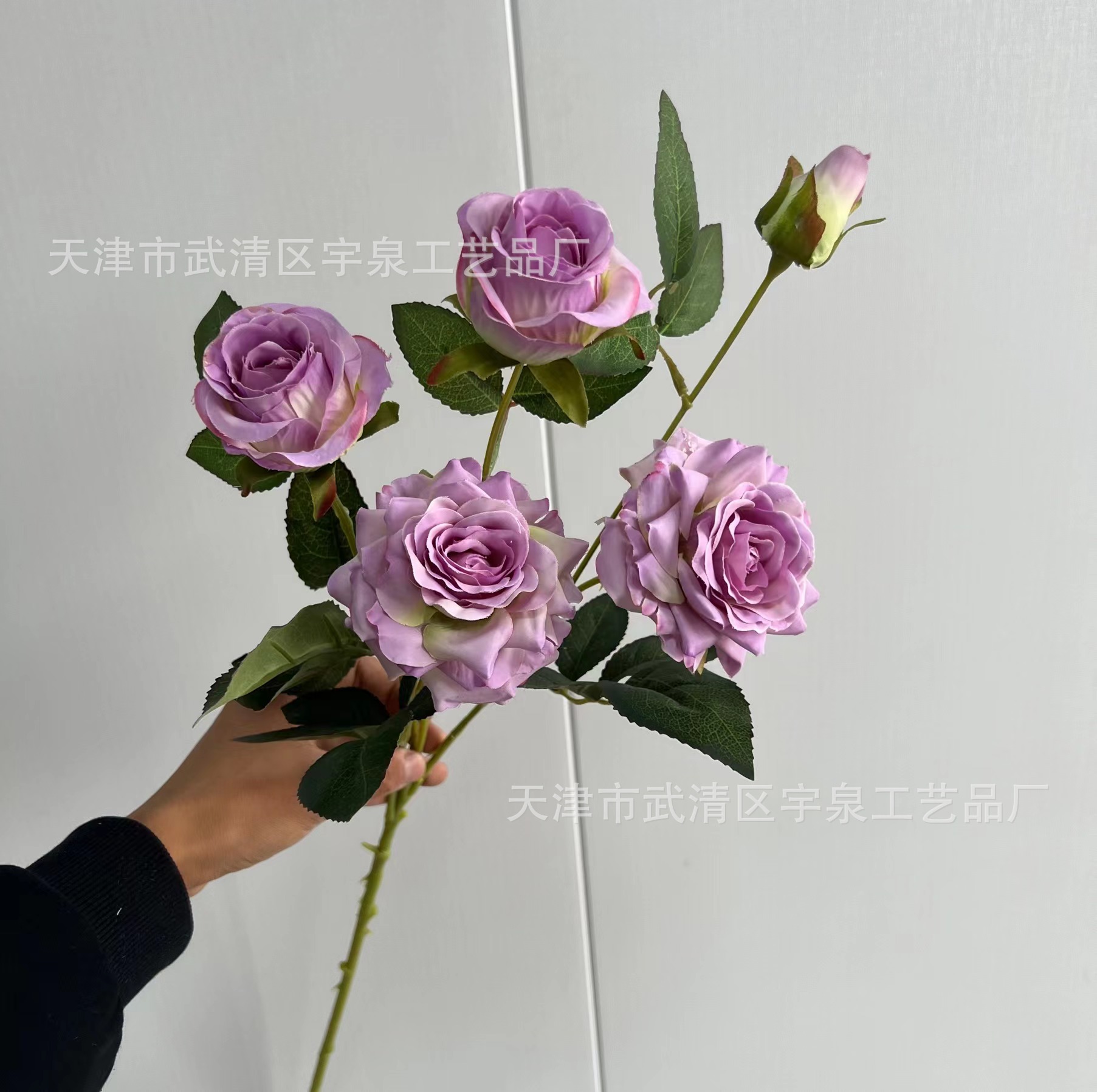 보라색