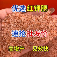 �Ȼ�⛷ʼt��~��ʴٻ��ٹ����ܹ����߲�ˮ�ܷ�⛷��{ˮͨ����