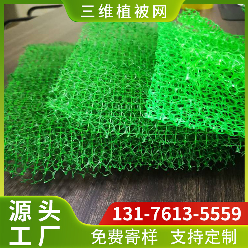 山东厂家现货出售三维植草网 河道护坡高速路边坡绿化三维植被网