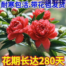 ����ĵ���d�ӻ��ļ��_�����҃ȾGֲ�������ԃ����՚�