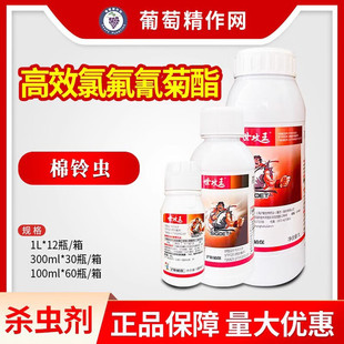 ��ֲ��������10%��Ч�ȷ�������޻�����x�rș���x�����F���\