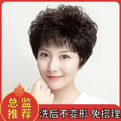 ウィッグ、本物の髪、完全な人毛、女性用フルヘッドギア、ショートヘア、中高年女性、ショートカーリーヘア、ママ、ナチュラル本物のヘアギア