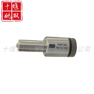 Oil pump, nozzle pressure fuel common rail