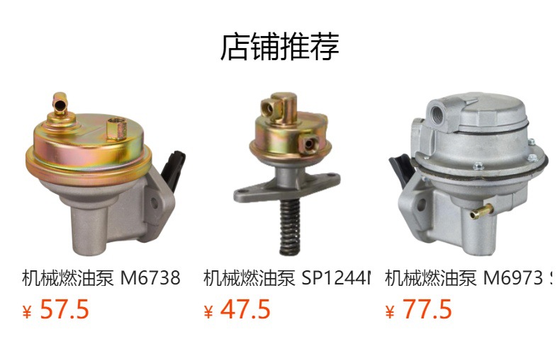 Brake Vacuum Pump 456583, 9812155680, 11667586424