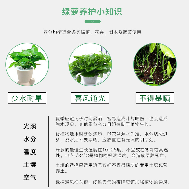 緑羅専用肥料花肥有機肥料開花根徐放顆粒肥花卉緑植物栄養肥料|undefined