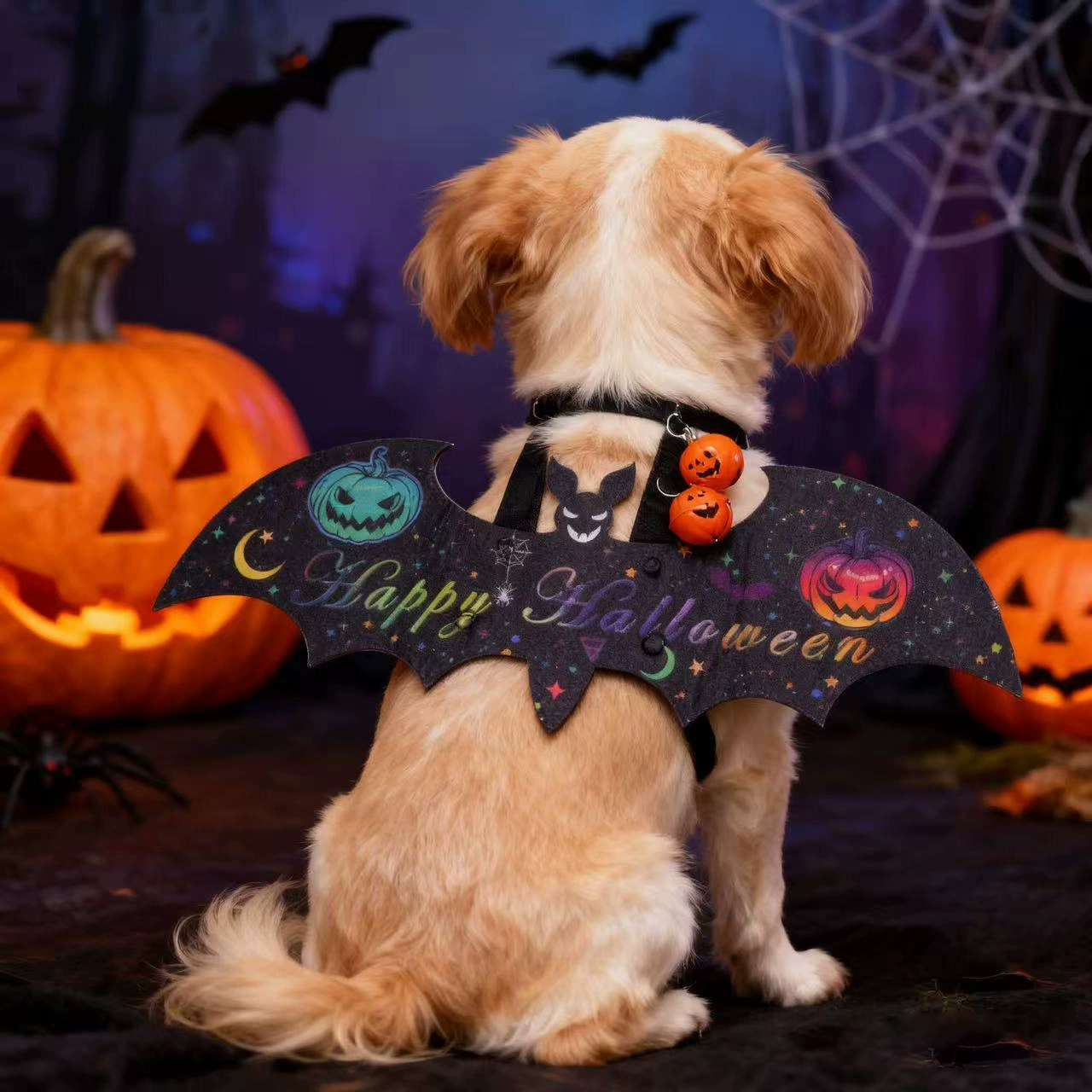 Одежда для домашних животных Одна партия кошачьей одежды Войлочные крылья летучих мышей Хэллоуин домашние животные превращаются в одежду для собак