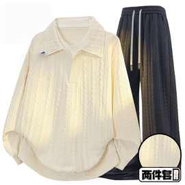 提花卫衣套装肌理美式秋季宽松休闲新款两件套中性风多巴胺男穿搭