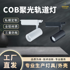 オーダーメイド衣料品店cobガイドレールライトデパート埋め込み式天井軌道スポットライト三線照明ledレールライト