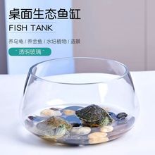 透明圆形金鱼缸生态创意玻璃鱼缸金鱼缸水培缸花瓶特价乌龟缸