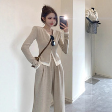 大码女装秋季时尚洋气减龄遮肉显瘦套装女阔腿裤两件套胖mm200斤