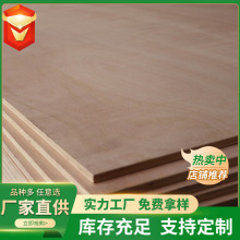 SֱNzϰ ӌľ Ҏ pNW F؛