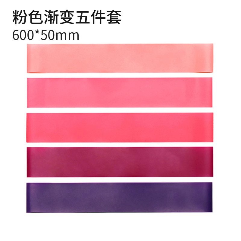 보라색 5종 세트 + 검정색 천 가방