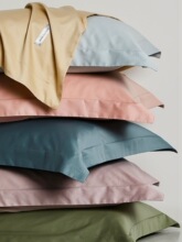 100֧ؕ�����L�q������һ���b�޾Ƶ���˼�ɫ���^��a&omega;