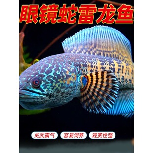 �S�����R���������^�~�����д����^�p�~�ʳ������B ӡ���M��