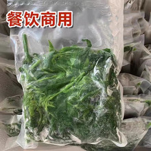 新鲜冷冻桑芽上汤嫩桑芽菜250g*120袋/箱餐厅炒菜天然绿色食品