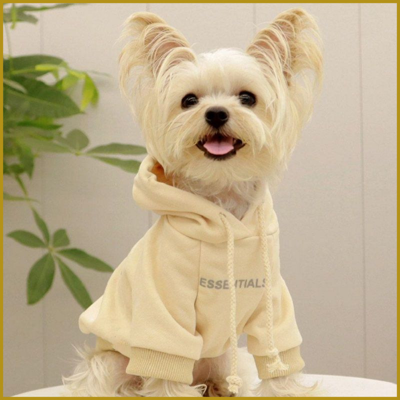 犬服 2025 新作春服テディシェリーナ小型犬ヨークシャーインターネットセレブ犬トレンディなブランドスウェットシャツ夏スタイル|undefined