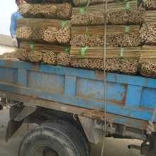 �S������С��Ͳ�U�񷀶�֧���r�ô�����͌����r�ô����OӋ