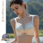 夏季透气调整型聚拢文胸