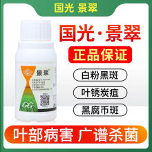 ���⾰�䱽�ױ��h����ľ�¼��׷۲��~�߲�̿�Ҳ��������ڰ߲�