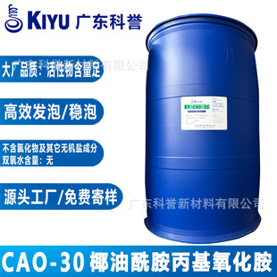 KIYU���uCAO 30Ҭ���������������� �l�݄� ���턩