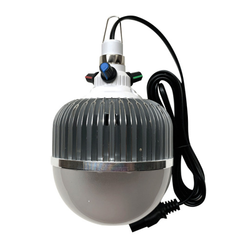 12V Tunable Color Fruit Lamp 48V Electric Scooter Color Changing Low Voltage 12-85V Fresh Food Stall Lighting Lamp 3 Knobs