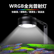 �~�ן�ȫ���VWLEDͲ�����������̦��ԭ����Ϫ�����{�۲ݸ�ˮ�ݟ�