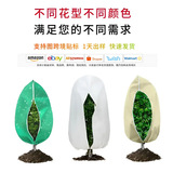 Зимнее защита от растения антифриза