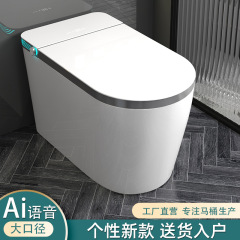 新型知能便器便器全自動一体式双水路家装用無水圧力即熱工程卸売り