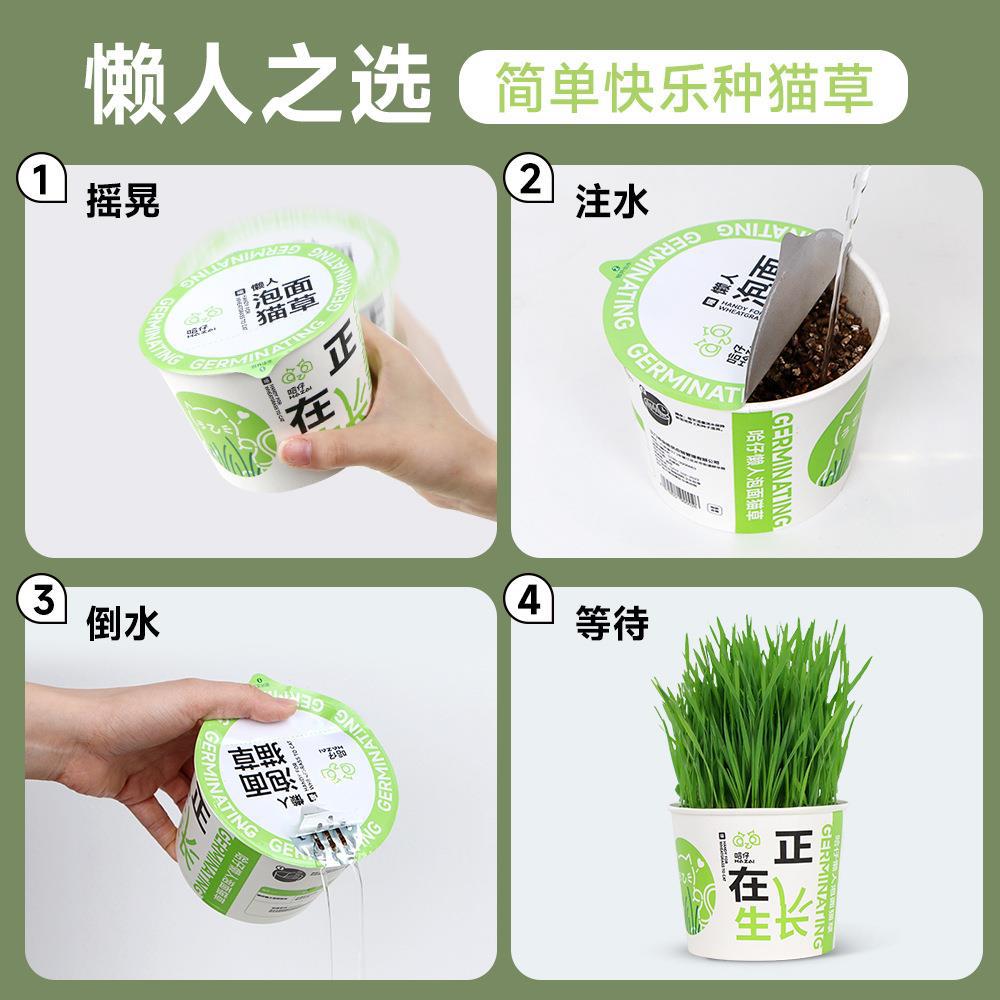 Fideos instantáneos perezosos, hierba para gatos, gato escupiendo bolas de pelo, semillas de trigo en macetas, cultivo de suelo, pelaje, bolas de pelo, bocadillos para gatos enlatados