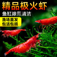 �O���r�r���^�p�r��ˮ��ˮ�����r��̖������r�ѻ�ˮ���r�坍С�r