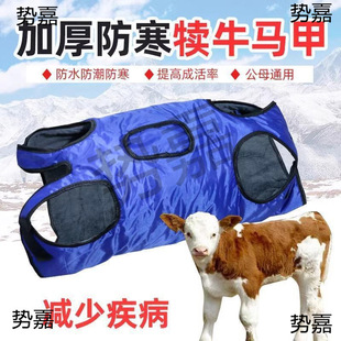 ���ط�ˮ�R��ţ�ټӺ񱣜��Bţ������Сţ��ţ�R�ױ�ůţ�����R��