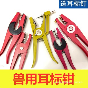 �����Q�F���i�ö����Qţ�����Bֳ�����Ԅӻ؏�ĸ�i����Q��̖�Q