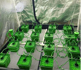 花盆容器;温室、大棚;其他塑料制品