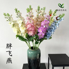 �����w��ݻ�c�Y���b��滨�Ć�֧���_�m���ߴ���滨�w���