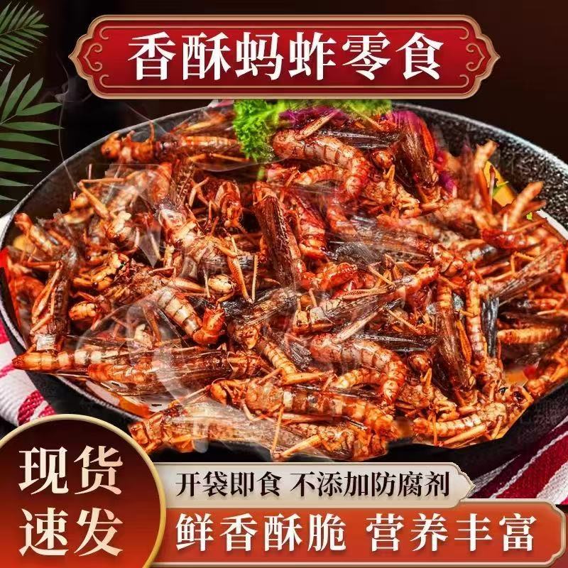Hot-Selling Fresh Fried Grasshoppers from Shandong, Cumin-Flavored Ready-To-Eat Spicy Locusts, Cheap Five-Spice Snack for Drinks, Dropshipping Available