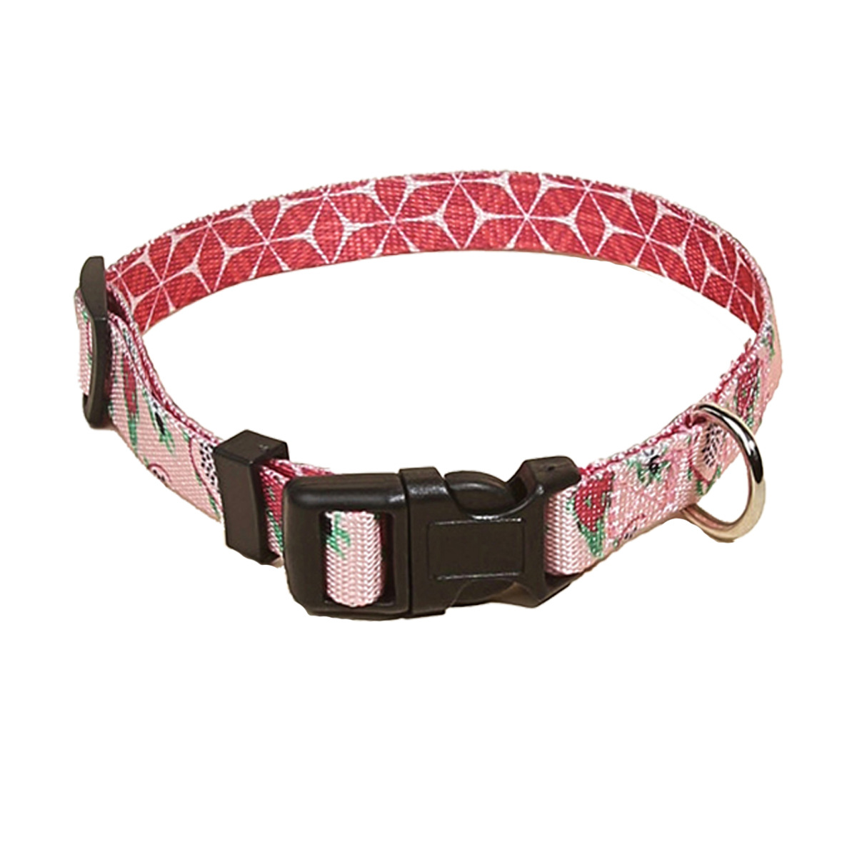 용과 열 전사 개 목걸이