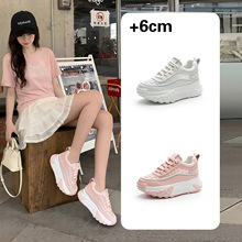 6cm�ɸ����������e�n�洺���¿�W��͸�W�W��͸��r��С��ЬŮ