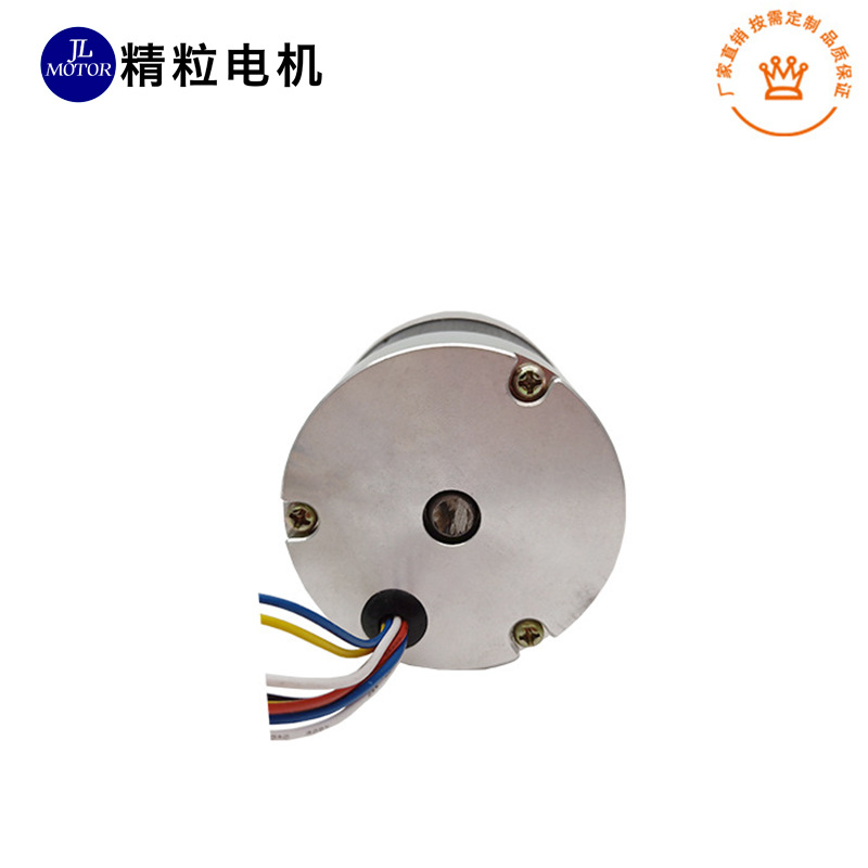 TEC56100厂家制造 大功率医疗设备57无刷马达 12V直流无刷电机