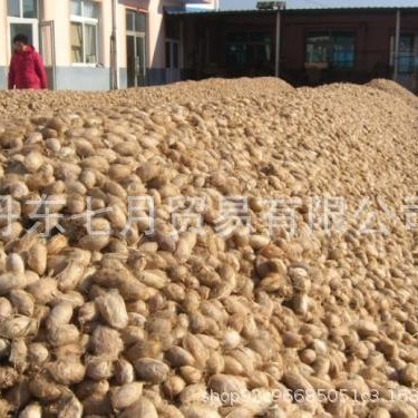 2025-07-23 20:47:33.jpg