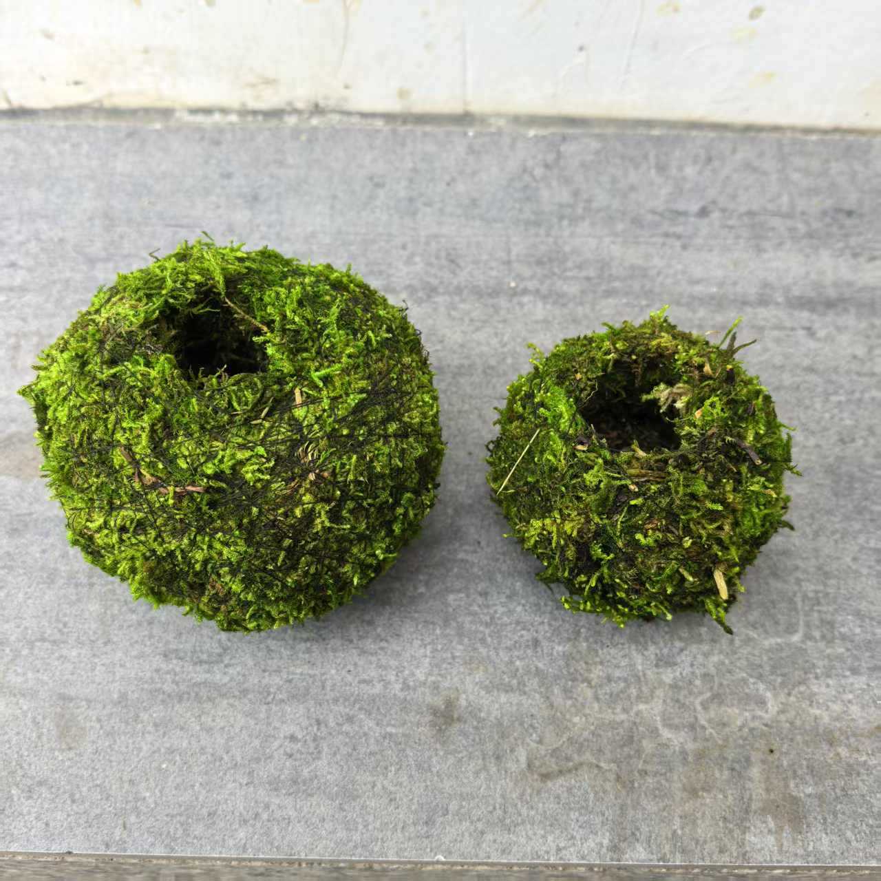 7cm 이끼 화분 용기(짙은 녹색) 1개