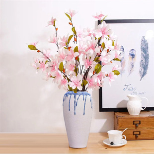 ����11�^С���mС���m ��c�Ҿ��bٻ��������滨�羳������ˇ