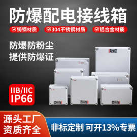 防爆配电柜防爆防腐检修配电箱防爆电源开关控制操作箱防爆接线箱