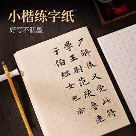 小楷米字格回字格毛笔练字纸仿古宣纸日课纸瘦金体练习书法作品纸