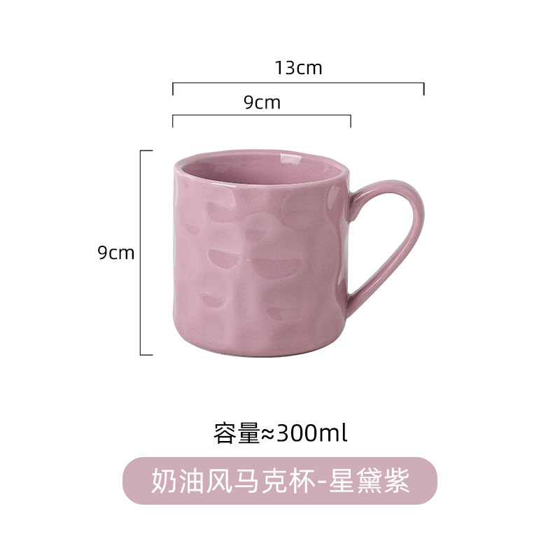 Taza doméstica traje de alta apariencia de alto grado Taza de cerámica conjunto de luz de lujo familia taza de agua taza juego de té sala de estar